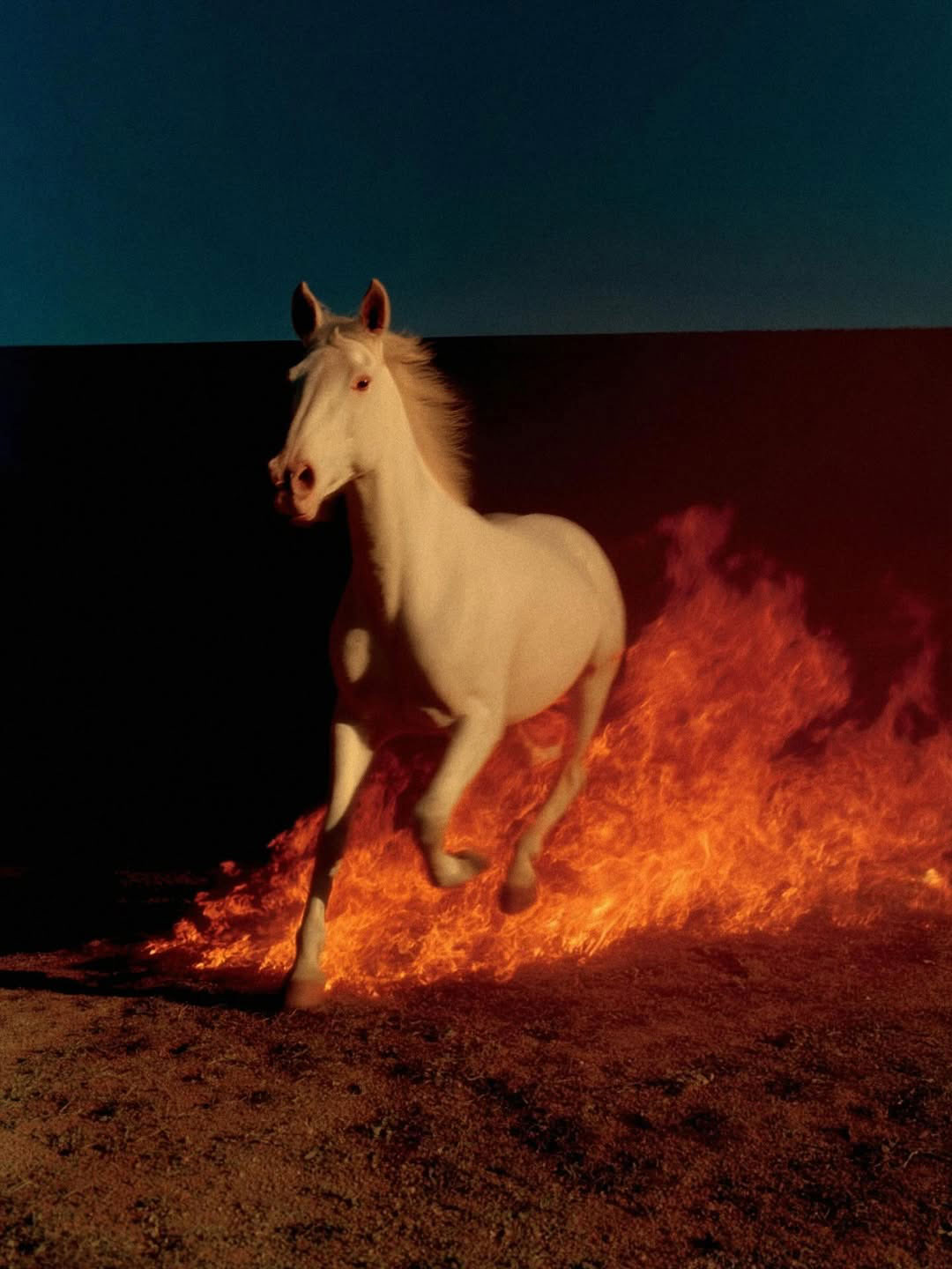 Born from the embers