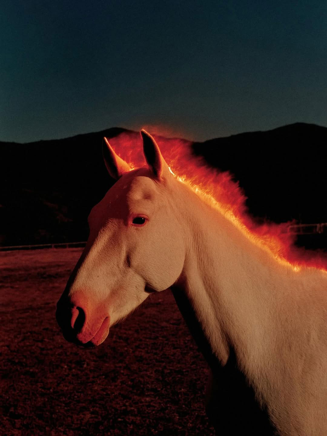 Born from the embers