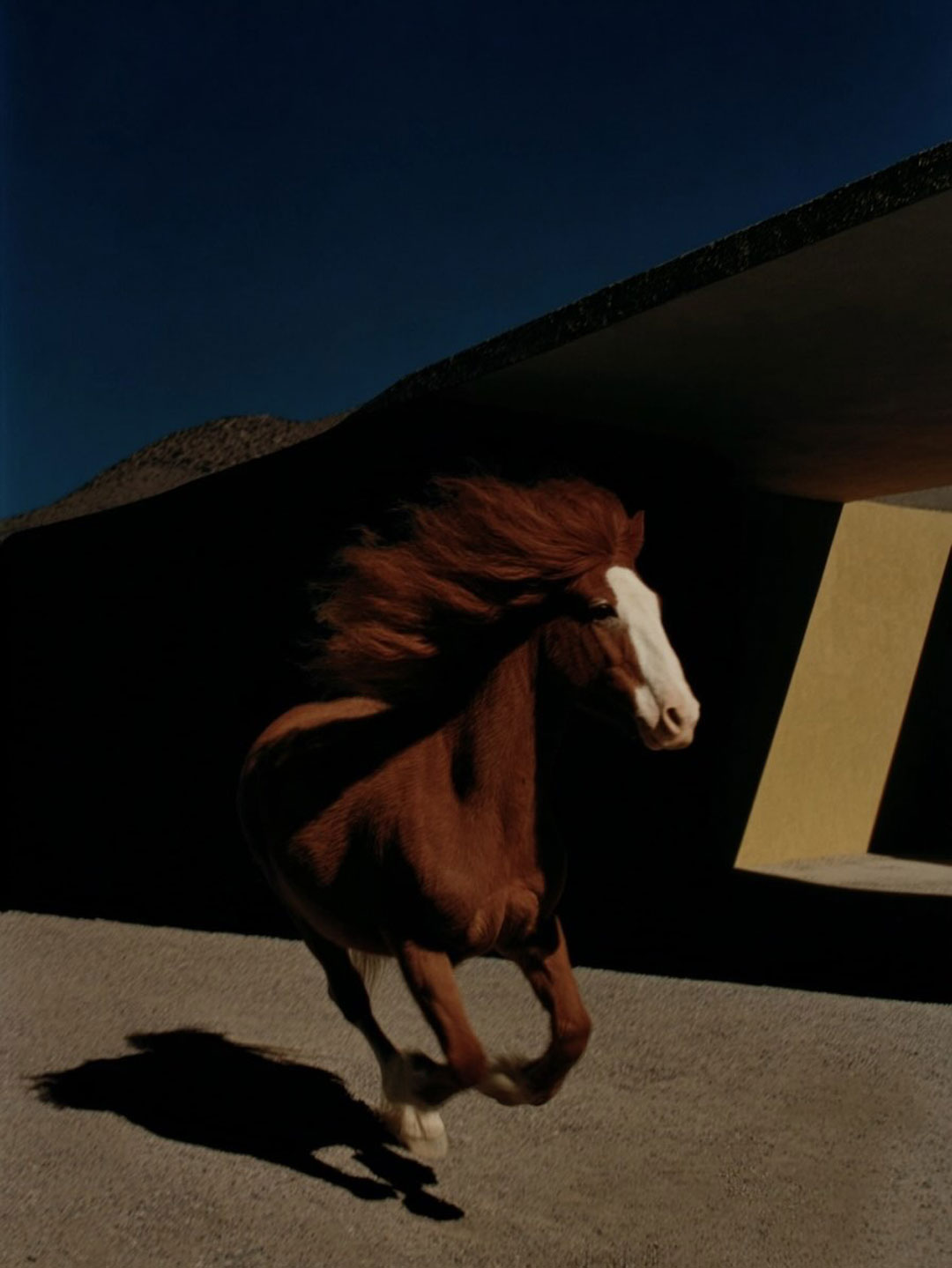 esperame que vuelvo pronto