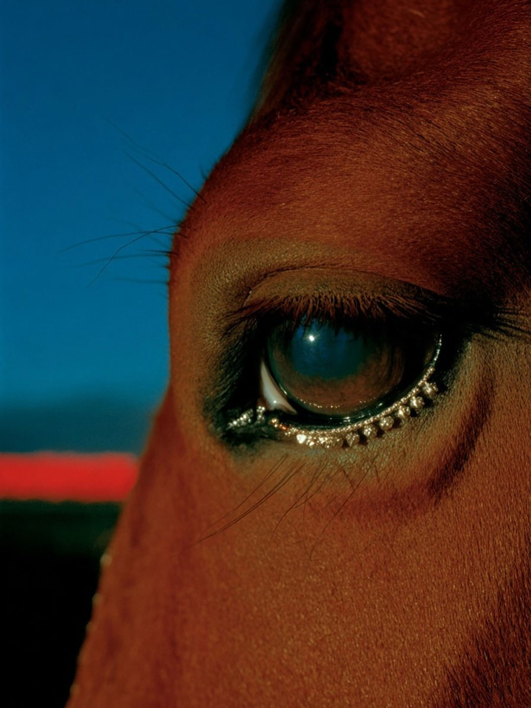 esperame que vuelvo pronto