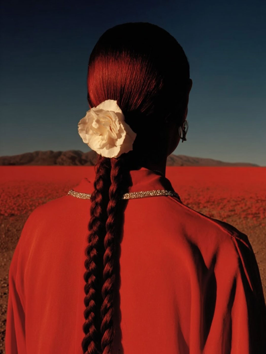 esperame que vuelvo pronto